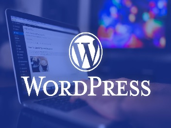 WordPress » How to Make Professional SEO Links